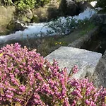 Il Mulino Di Aurora アパート ネッソ