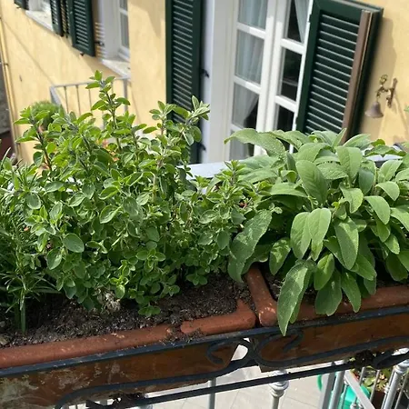 Il Mulino Di Aurora *