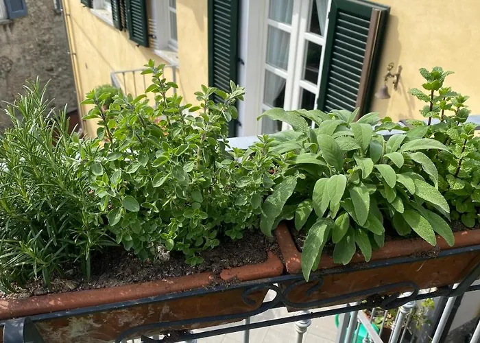 Il Mulino Di Aurora *