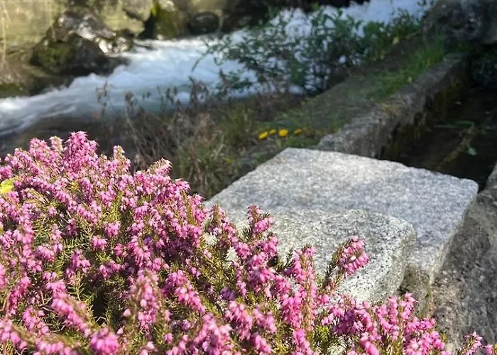Il Mulino Di Aurora דירה נסו